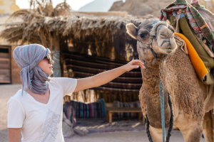 Camel Ride Tour